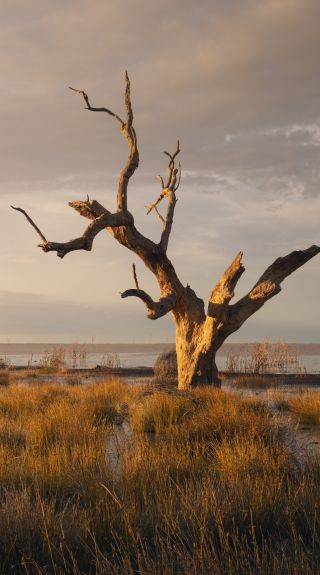 Menindee Lakes